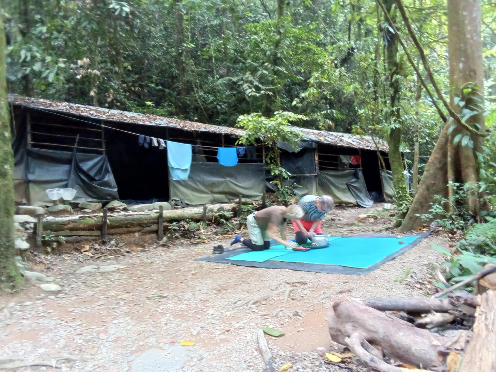 Jungle Treking & Jungle Tour If You Want To Stay Here,You Must Book Treking Only With Us ブキットラワン エクステリア 写真