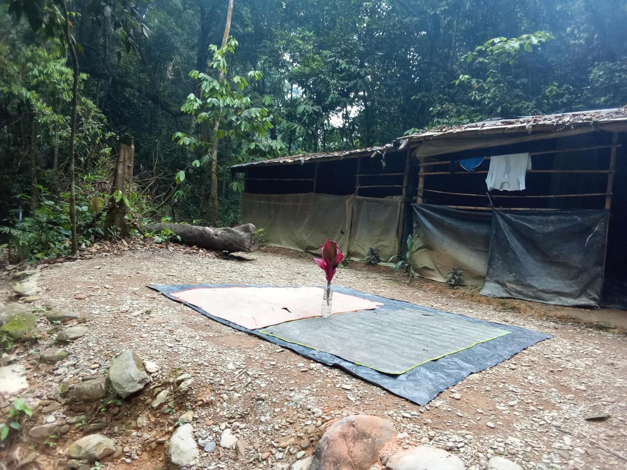 Jungle Treking & Jungle Tour If You Want To Stay Here,You Must Book Treking Only With Us ブキットラワン エクステリア 写真