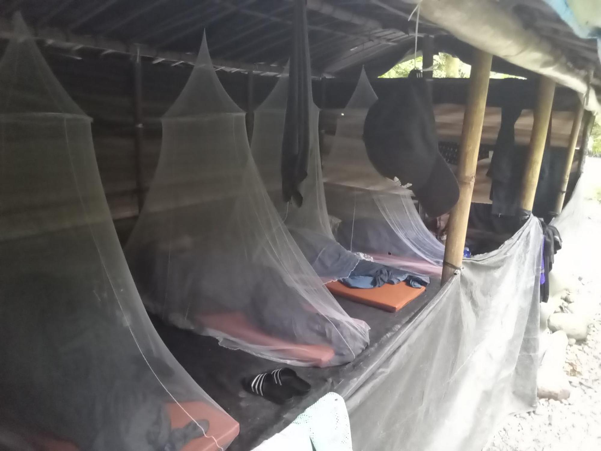Jungle Treking & Jungle Tour If You Want To Stay Here,You Must Book Treking Only With Us ブキットラワン エクステリア 写真