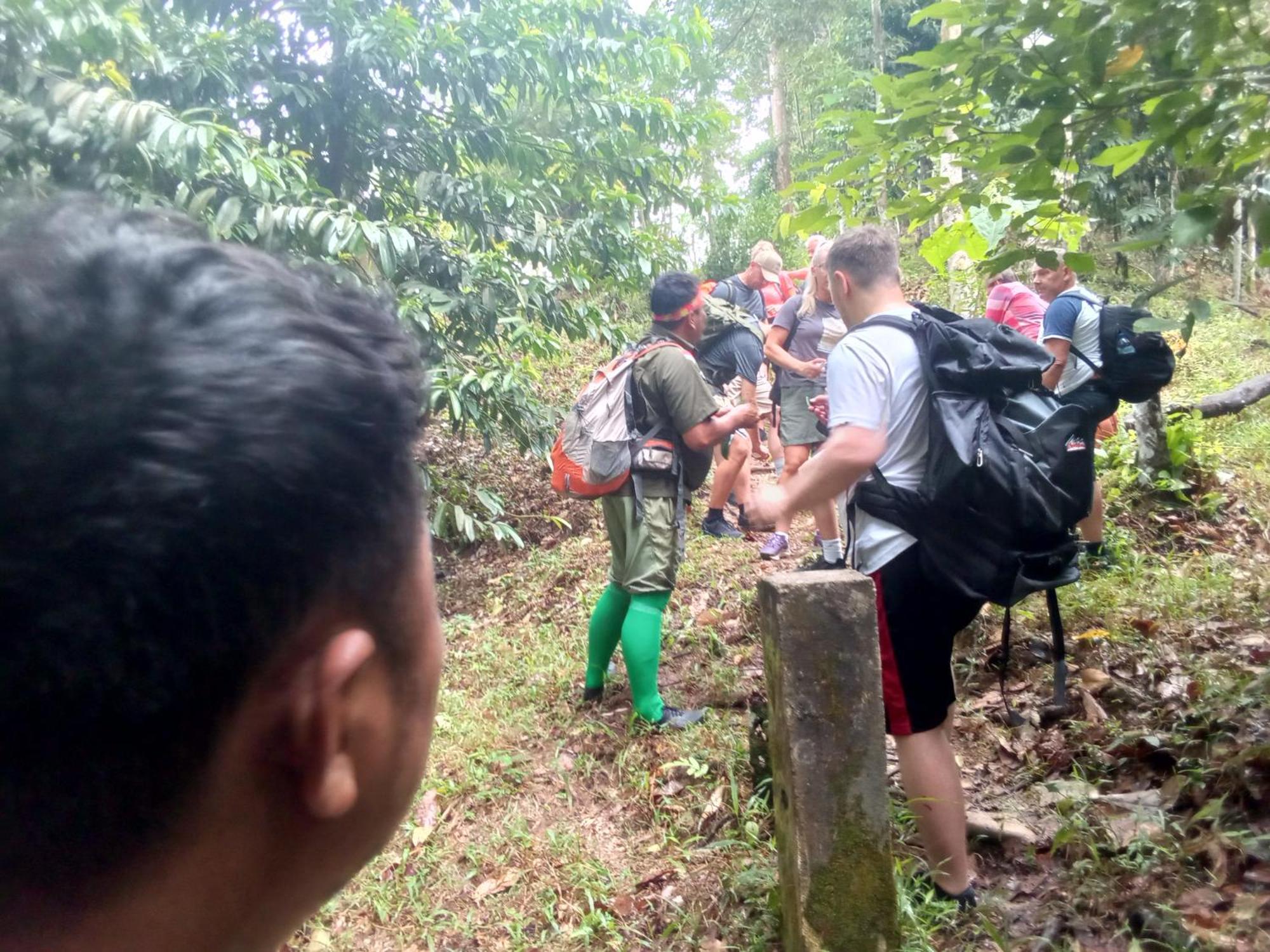 Jungle Treking & Jungle Tour If You Want To Stay Here,You Must Book Treking Only With Us ブキットラワン エクステリア 写真