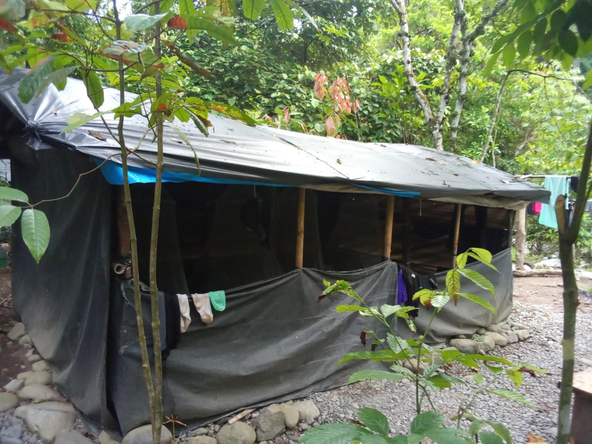 Jungle Treking & Jungle Tour If You Want To Stay Here,You Must Book Treking Only With Us ブキットラワン エクステリア 写真