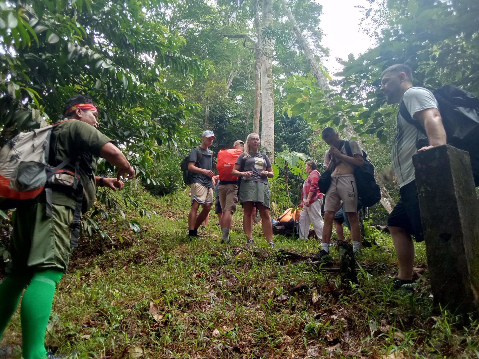 Jungle Treking & Jungle Tour If You Want To Stay Here,You Must Book Treking Only With Us ブキットラワン エクステリア 写真