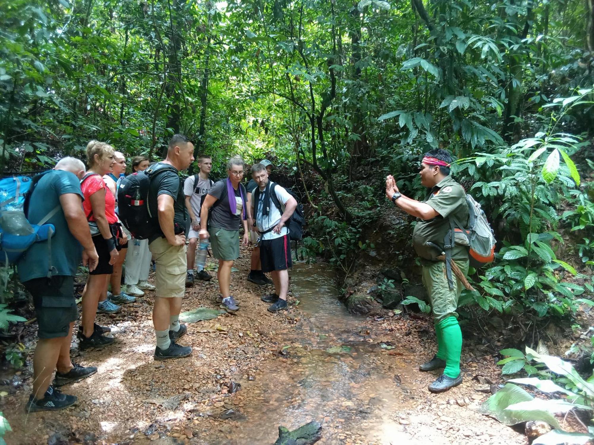 Jungle Treking & Jungle Tour If You Want To Stay Here,You Must Book Treking Only With Us ブキットラワン エクステリア 写真